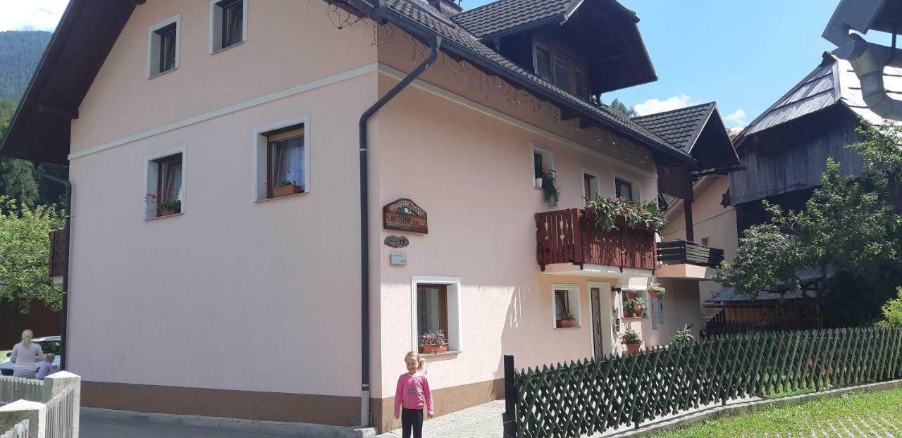 Apartma Albina Краньска Гора Экстерьер фото